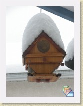 snow * (35 Slides)